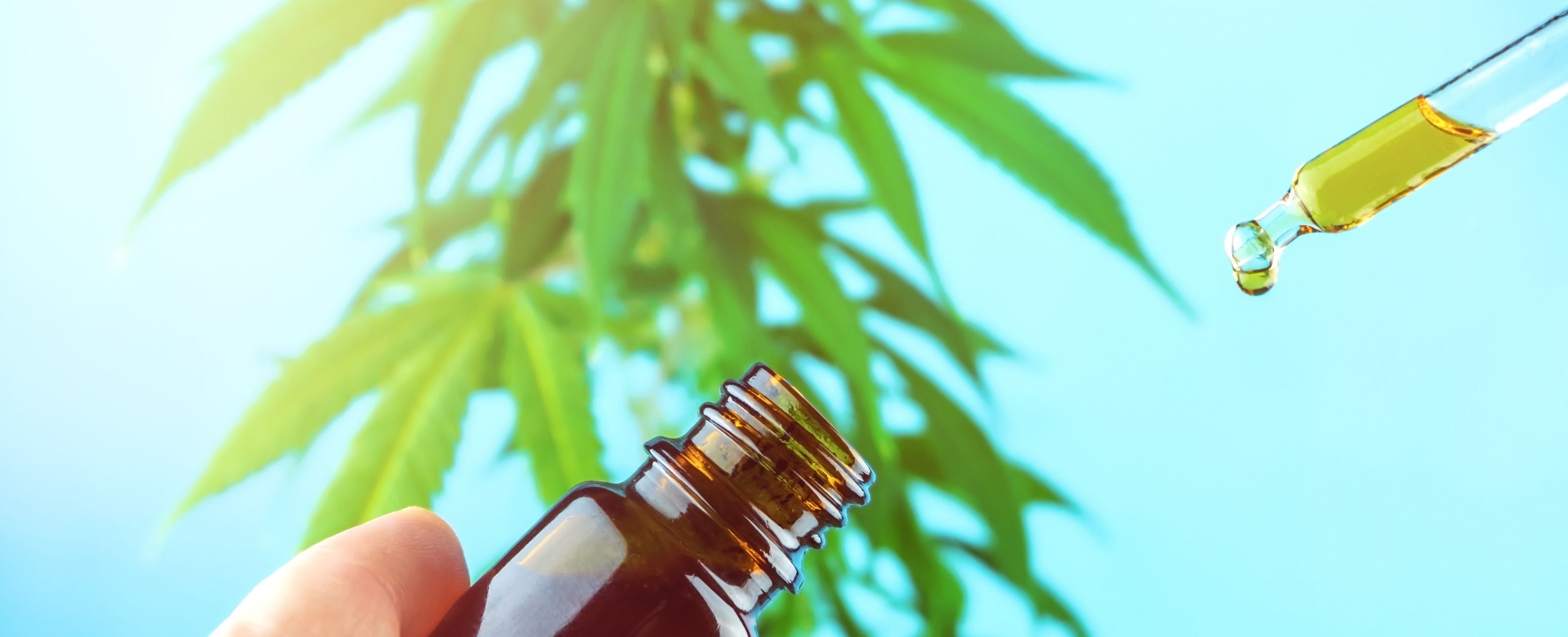Comment gérer une crise d’angoisse avec l’huile de CBD bio ?