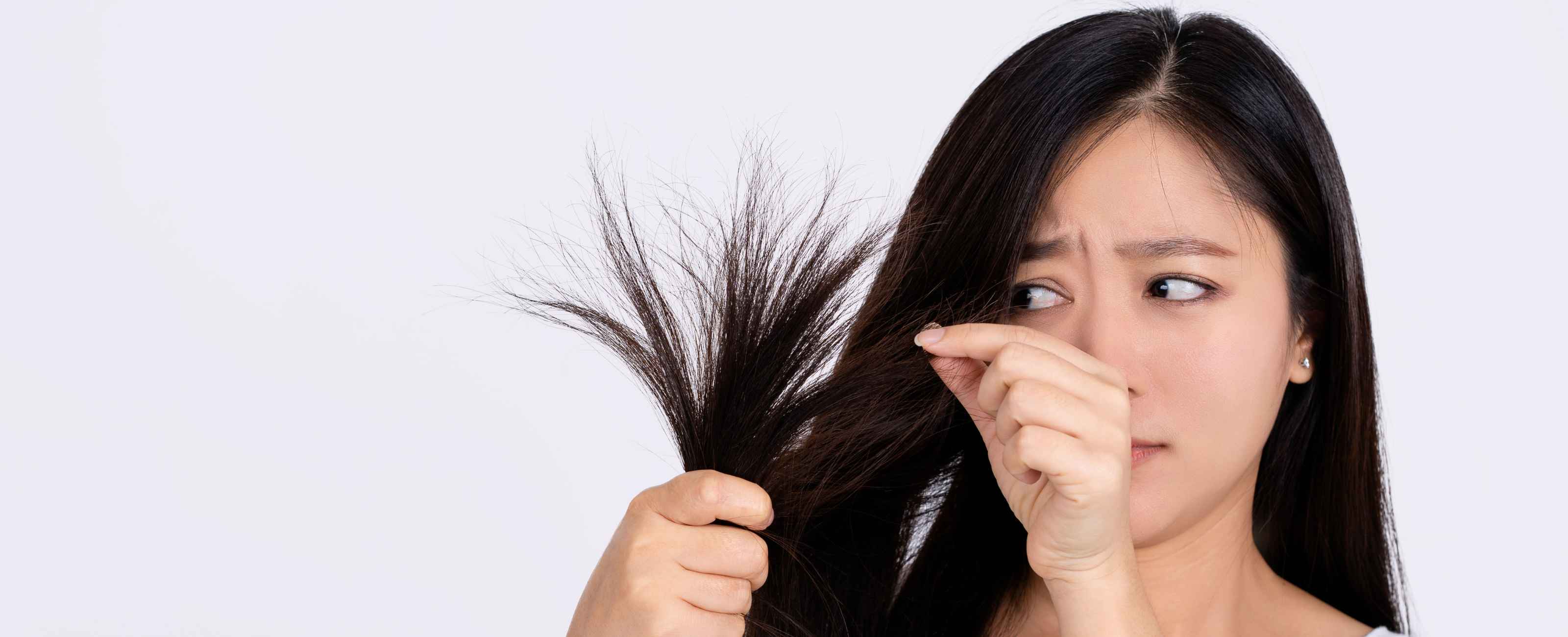 Conseils pour nourrir et hydrater les cheveux secs.