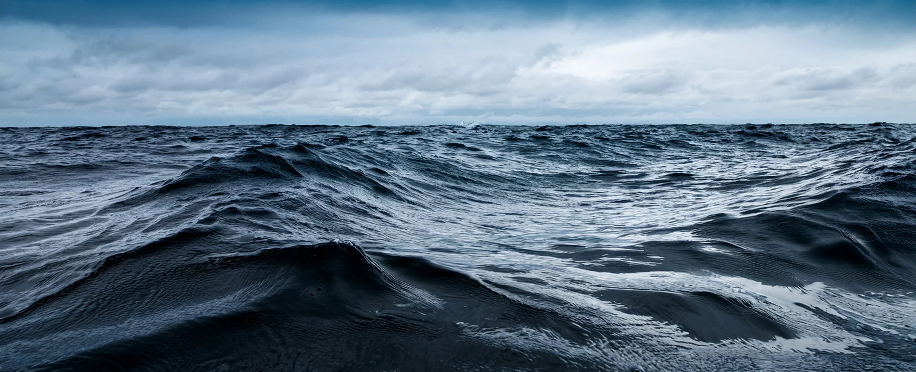 Quels sont les dangers du collagène marin ?