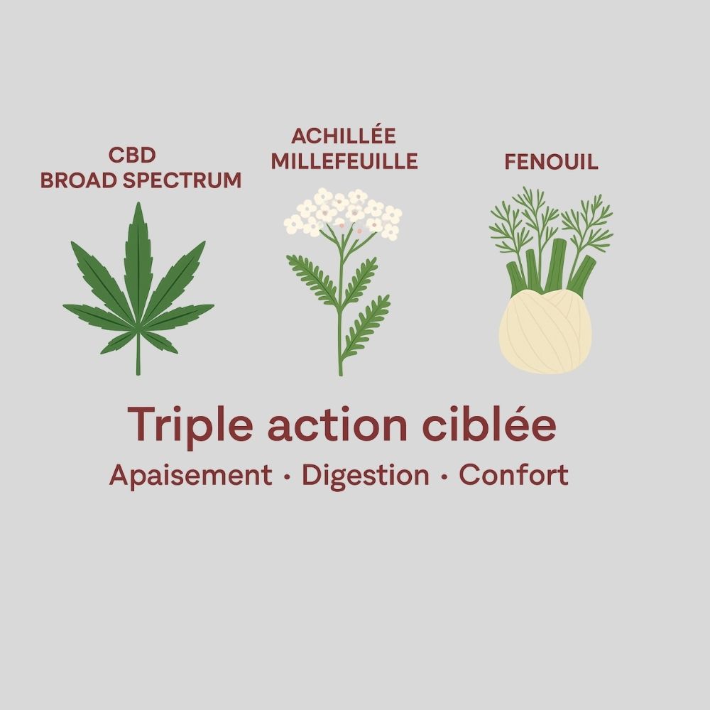 Infographie représentant la composition de l'huile de cbd règles douloureuses delicure : cbd, achillée millefeuille, fenouil