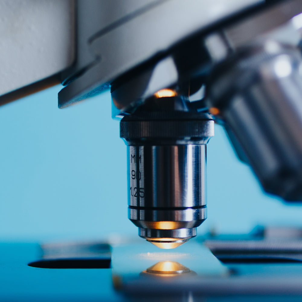 Gros plan sur l’objectif métallique d’un microscope éclairant une lame, symbolisant les analyses scientifiques rigoureuses du safran de nos gummies.