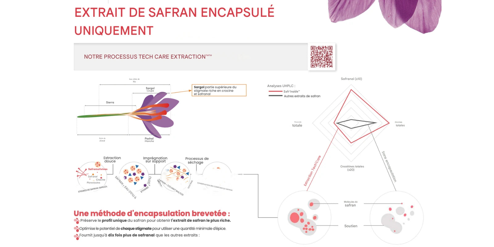 Infographie du processus Tech Care Extraction™ montrant l’encapsulation brevetée de l’extrait de safran Safr’Inside™