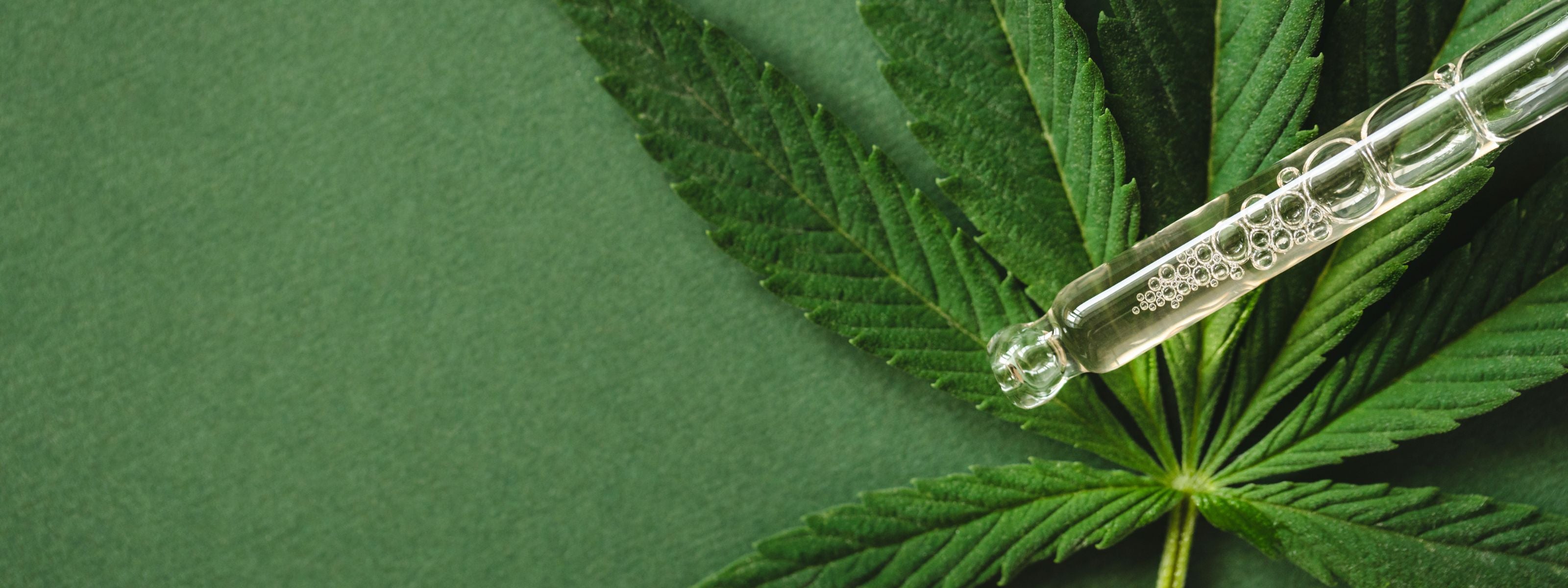 L'huile de CBD est le produit à base de CBD le plus consommé, son effet est très rapide, contenu dans des flacons, ce produit est 100% naturel.