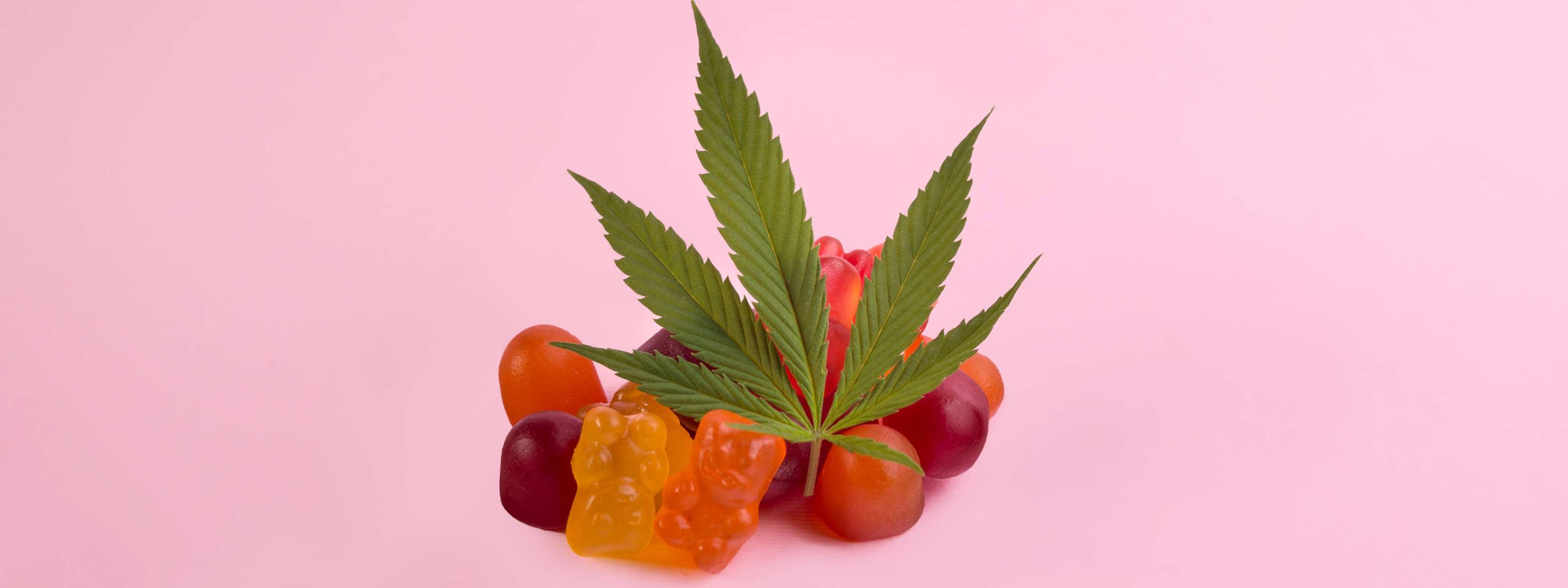 Gummies anti stress cbd et safran multicolores sur fond rose
