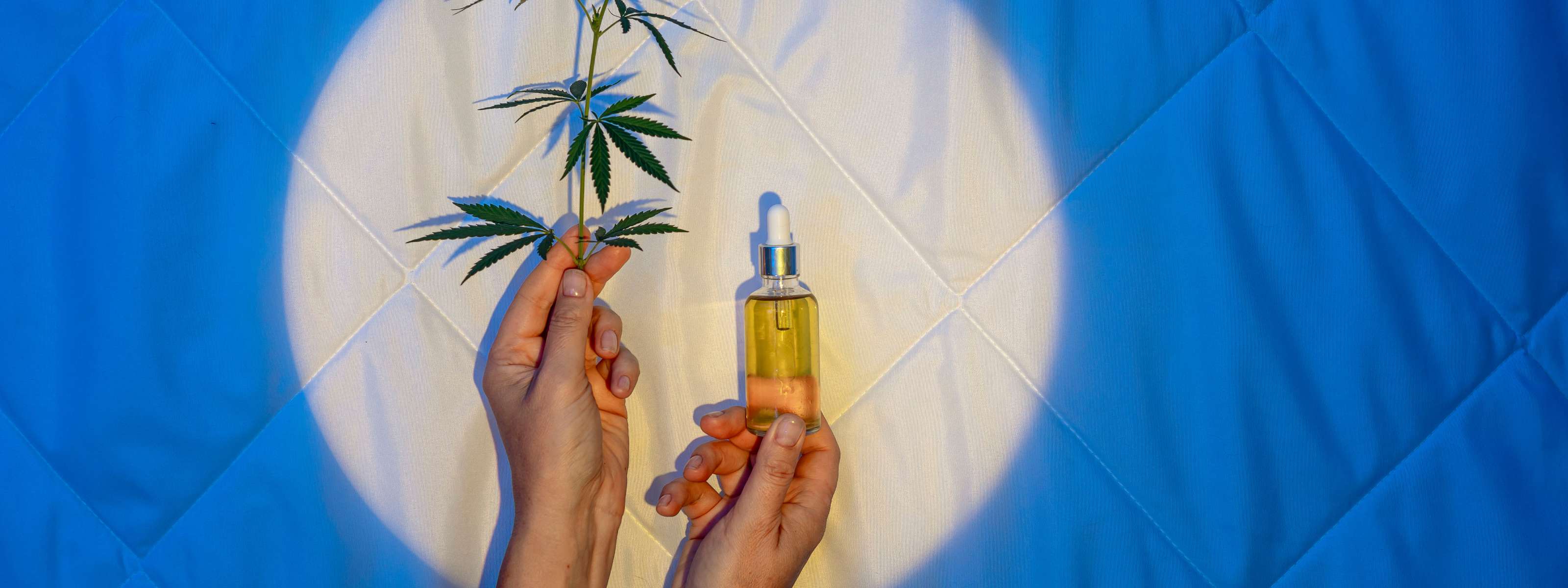 Flacon d’huile de CBD tenu par deux mains sur un fond bleu avec une feuille de chanvre.
