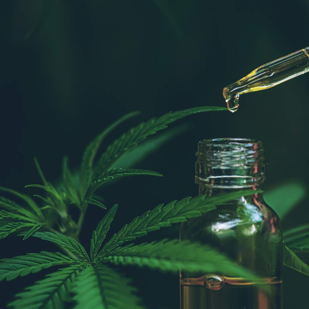 Flacon d’huile CBD avec pipette et feuille de chanvre, solution naturelle à base de cannabidiol pour le bien-être.