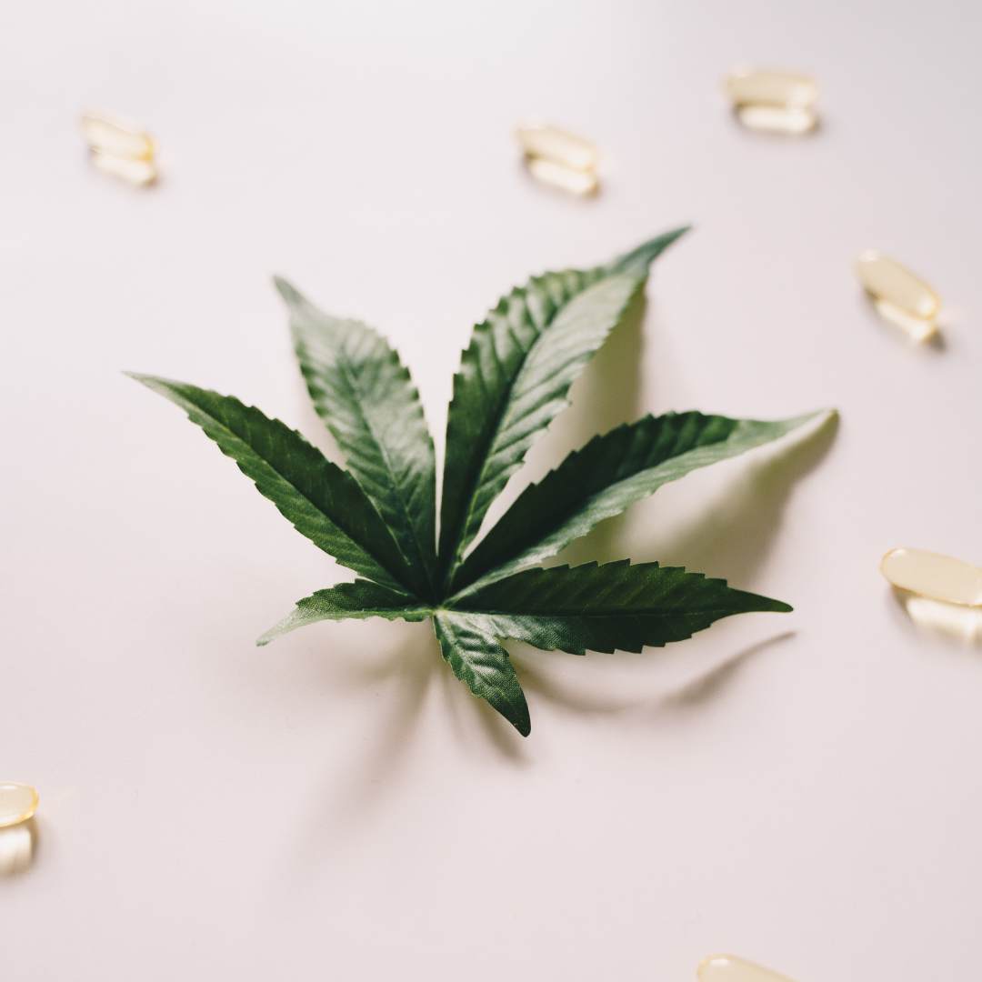 consommer du cbd permet de diminuer la consommation de nicotine et envisager sereinement un arrêt du tabac