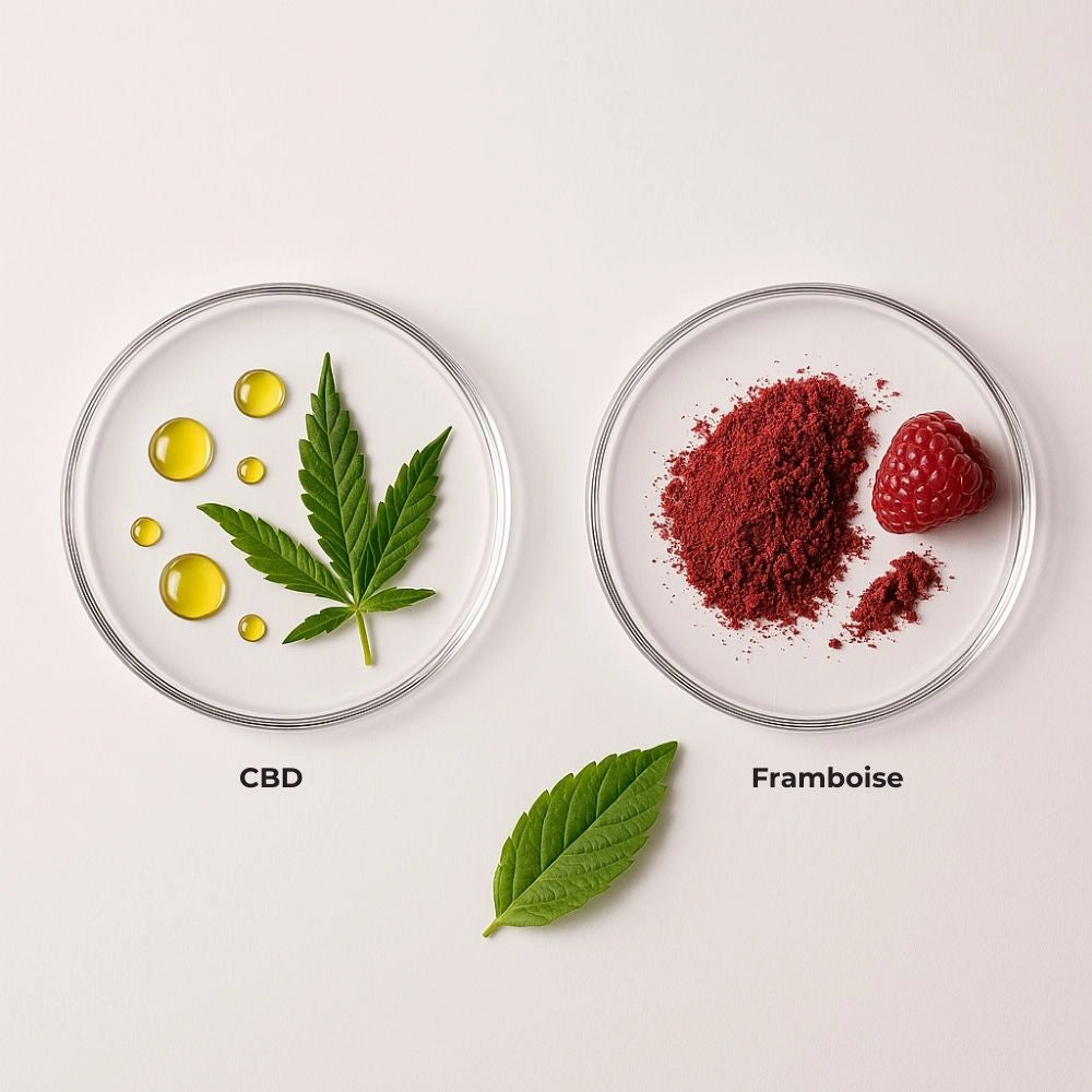 Bol transparent contenant de la poudre de framboise, accompagné d’huile CBD et d’une feuille de chanvre, mettant en avant les ingrédients d’origine naturelle composant les gummies CBD délicure.
