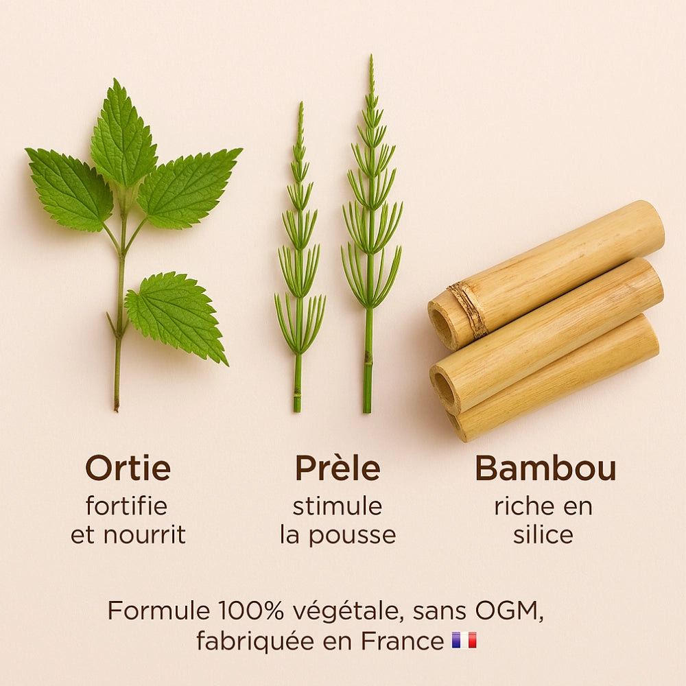 Visuel ingrédients naturels : ortie, prêle, bambou
Ingrédients naturels des gélules Délicure Cheveux & Ongles : ortie pour fortifier, prêle pour stimuler la pousse, bambou riche en silice – formule végétale sans OGM fabriquée en France.