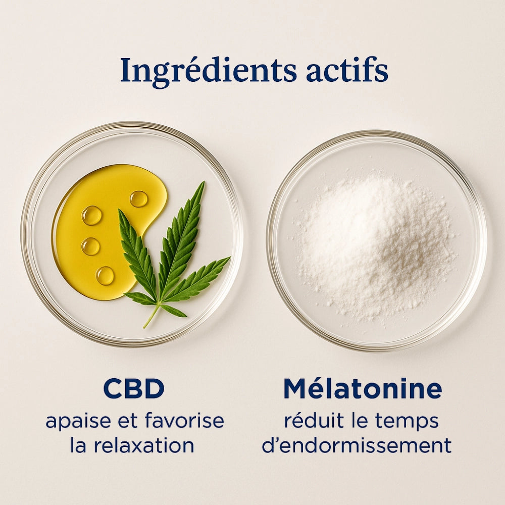Ingrédients actifs (huile + poudre blanche)
Ingrédients actifs des gummies CBD Sommeil Fort Délicure : CBD apaisant et mélatonine naturelle pour favoriser la relaxation et l’endormissement.