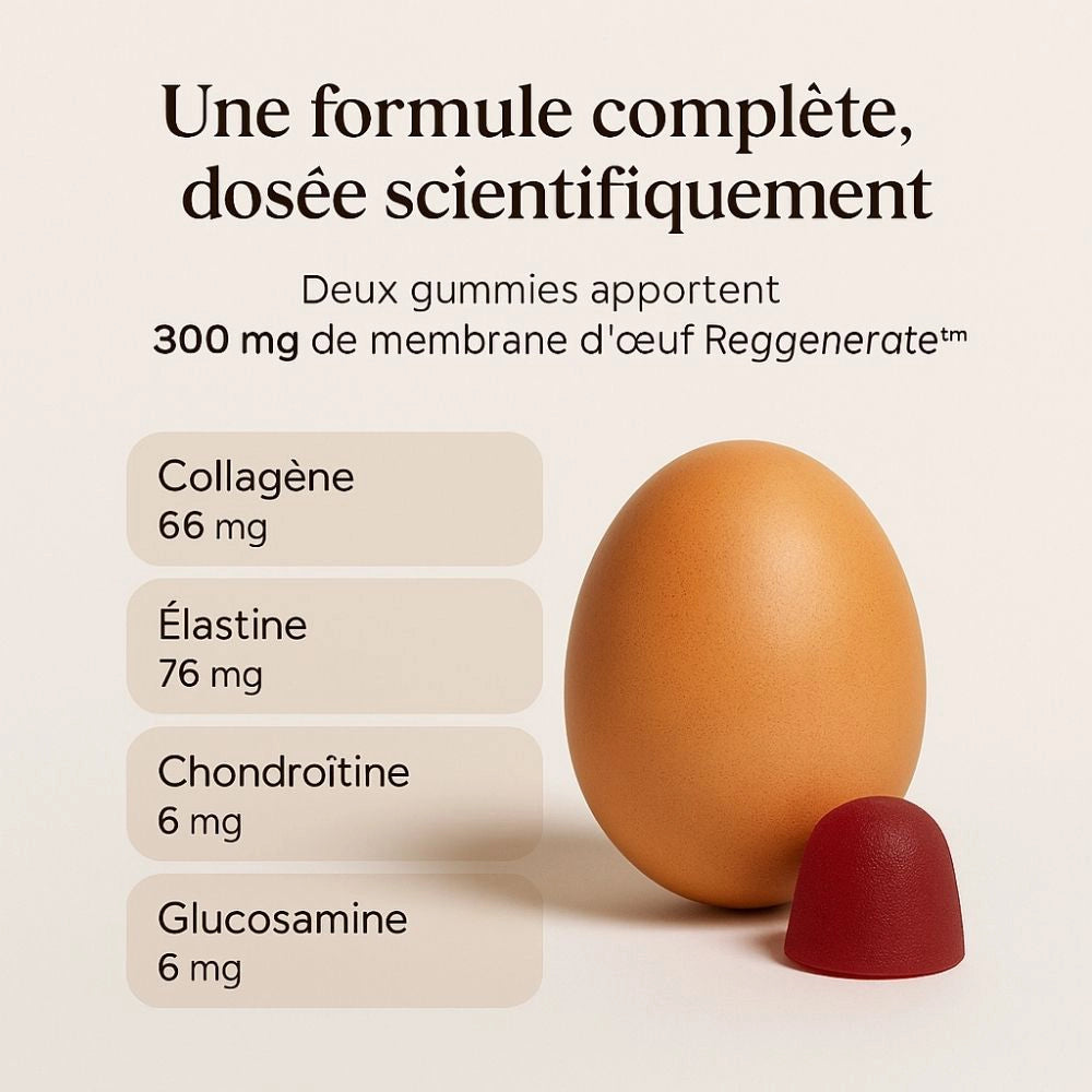 Visuel “Formule complète, dosée scientifiquement” avec œuf
Composition des gummies Collagène Délicure : 300 mg de membrane d’œuf Reggenerate, riche en collagène, élastine, chondroïtine et glucosamine.