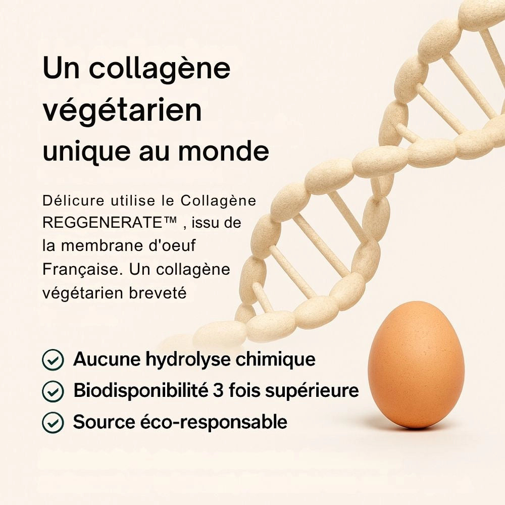 Visuel “Un collagène végétarien unique au monde” avec ADN et œuf
Collagène végétarien Reggenerate Délicure – sans hydrolyse chimique, biodisponibilité 3 fois supérieure, source éco-responsable française.