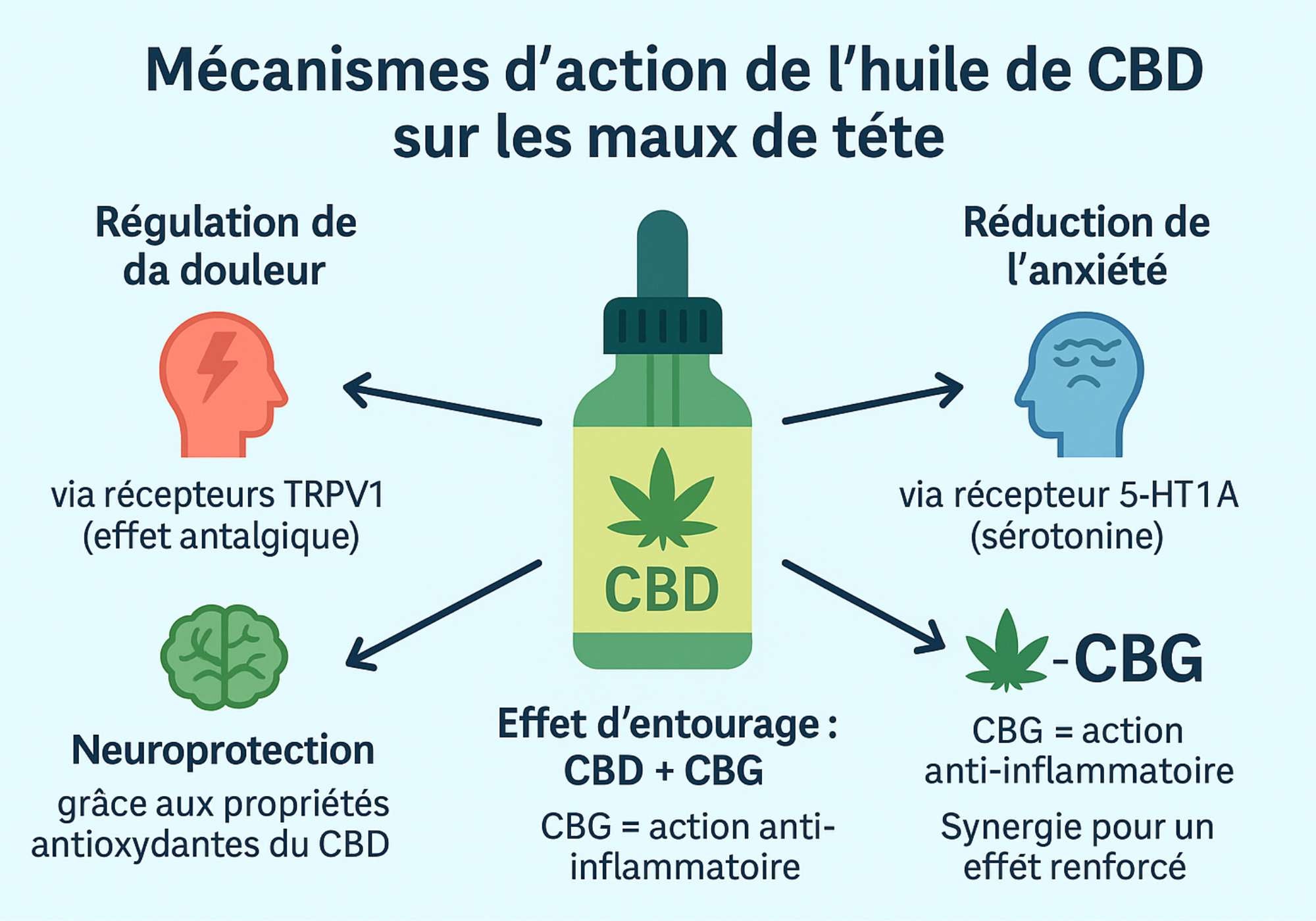 Infographie en français expliquant les mécanismes d’action de l’huile de CBD sur les maux de tête : douleur, anxiété, neuroprotection, effet d’entourage avec le CBG.