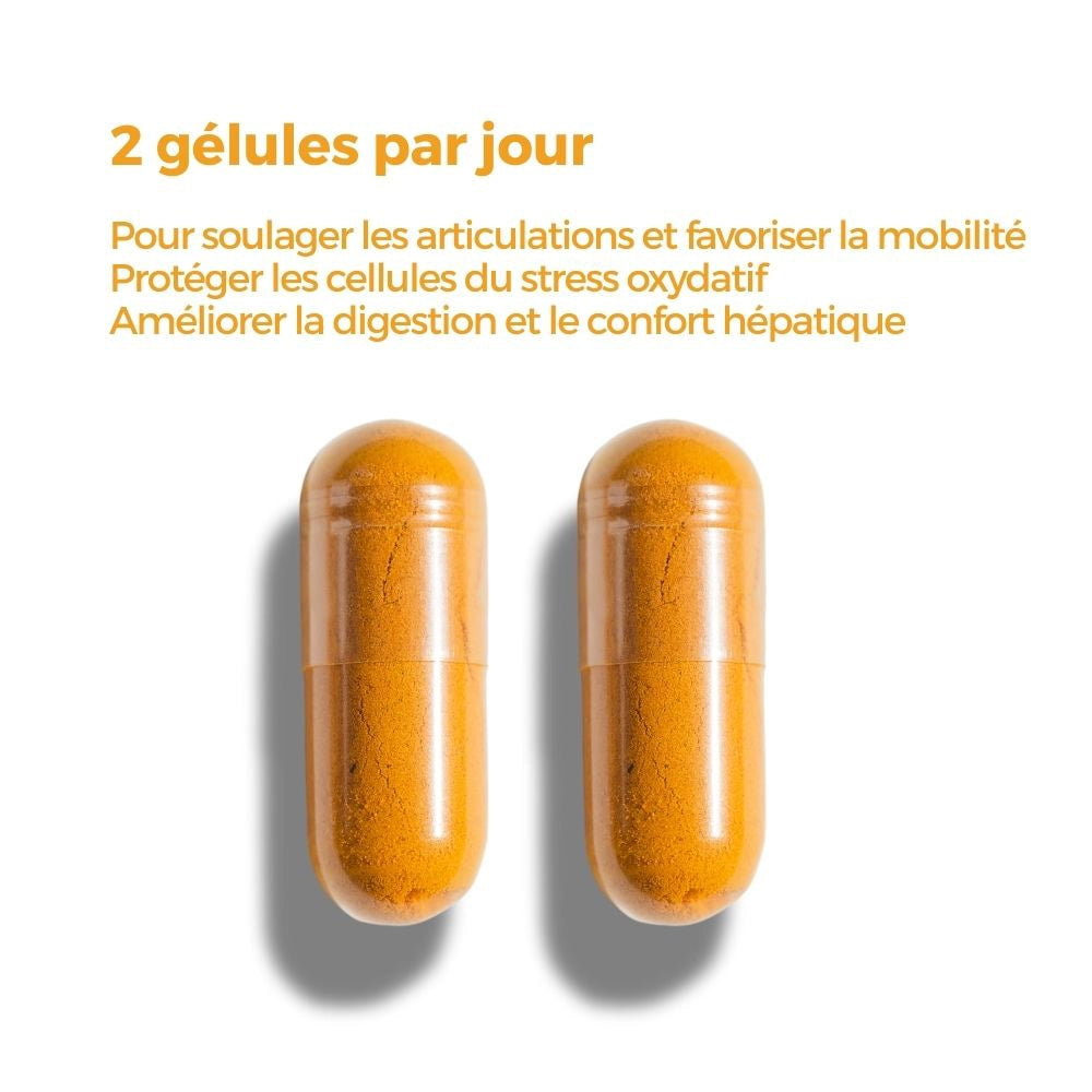 Deux gélules de Curcuma BCM-95 Délicure, couleur orange, à prendre chaque jour pour soulager les articulations et protéger les cellules du stress oxydatif.
