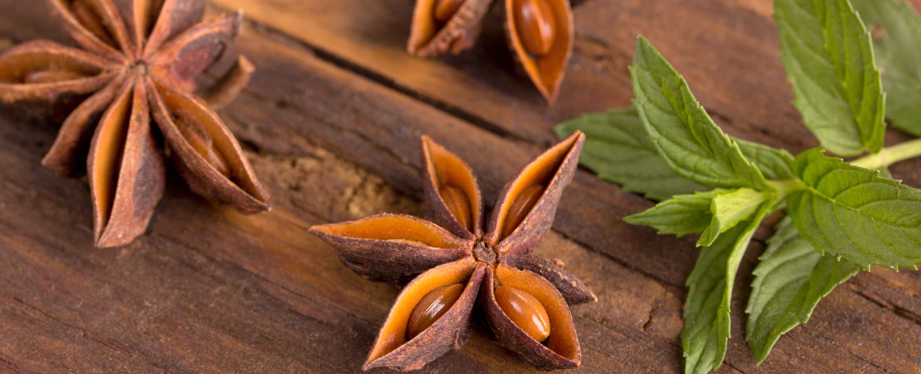 Quelles sont les meilleurs plantes qui facilitent la digestion ?