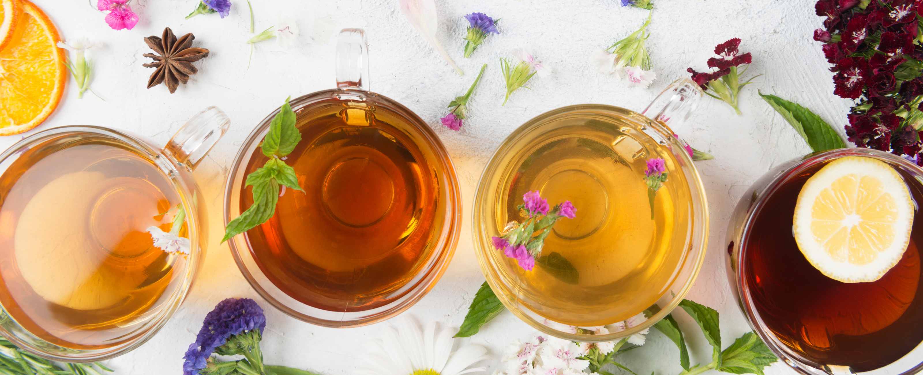 les meilleures plantes pour lutter contre le stress de manière naturelle.