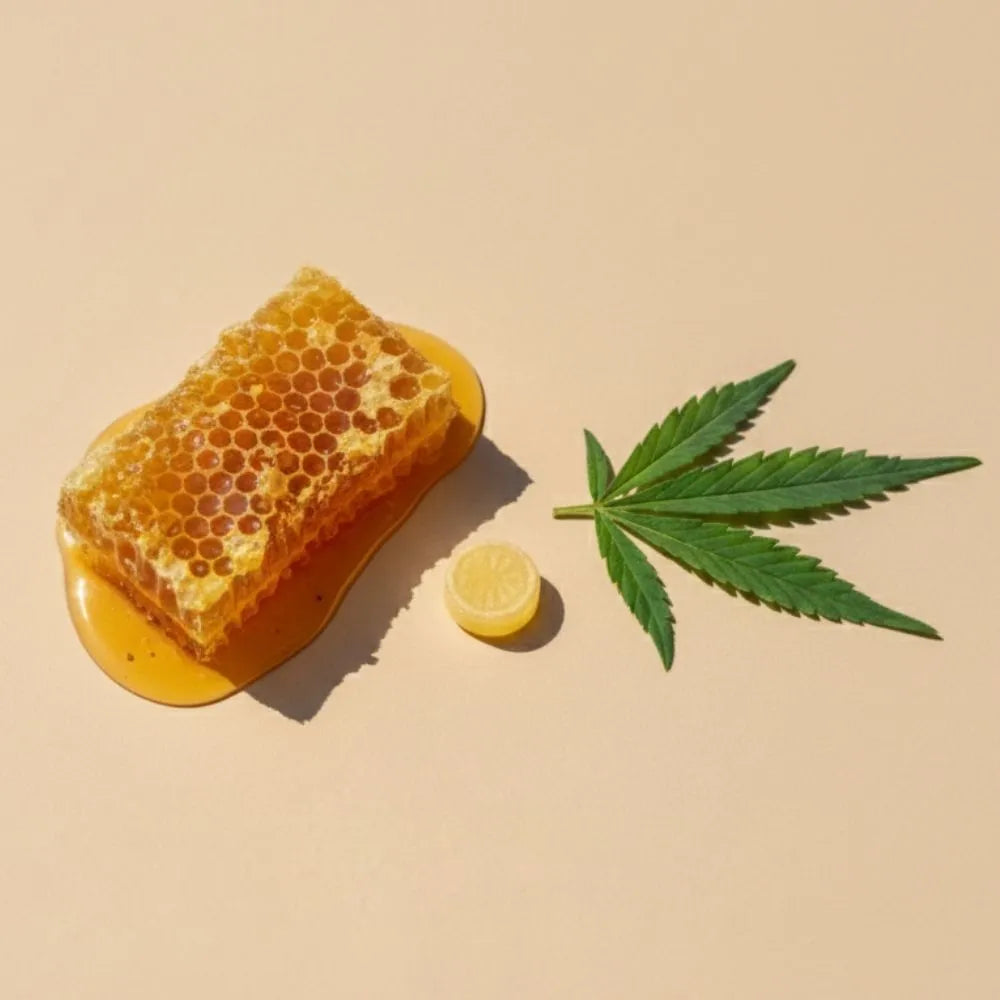 Pastille au CBD au miel posée à côté d’un rayon de miel et d’une feuille de chanvre, bonbon CBD sans THC Délicure