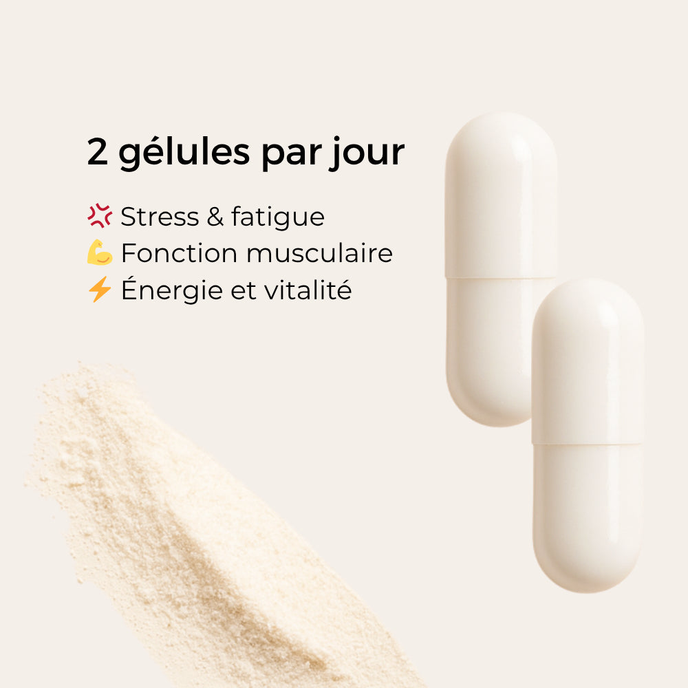 Complément alimentaire Délicure Magnésium Bisglycinate – 2 gélules par jour pour réduire le stress et la fatigue, soutenir la fonction musculaire et retrouver énergie et vitalité.