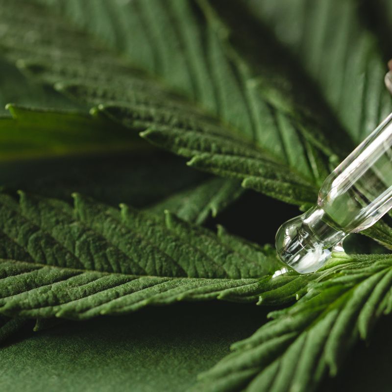 6 millions de consommateurs de cbd en france