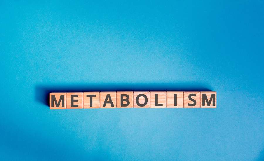 cubes bois “Metabolism” sur fond bleu Mot métabolisme écrit sur des cubes en bois sur fond bleu, concept de stimuler le métabolisme naturellement