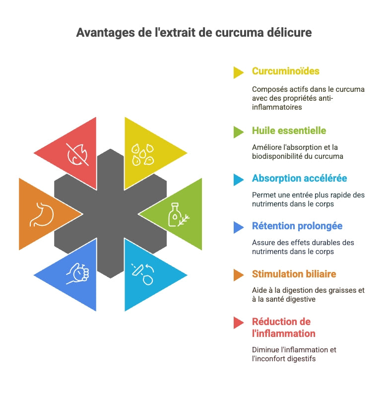 Infographie ‘Avantages de l’extrait de curcuma Délicure’ : au centre un hexagone gris entouré de six triangles colorés avec icônes, à droite le titre et la liste des bénéfices – Curcuminoïdes (jaune) : composés anti-inflammatoires ; Huile essentielle (vert) : améliore absorption et biodisponibilité ; Absorption accélérée (bleu clair) : entrée rapide des nutriments ; Rétention prolongée (bleu foncé) : effets durables ; Stimulation biliaire (orange) : facilite digestion des graisses ; Réduction de l’inflammation (rouge) : diminue inconfort digestif.
