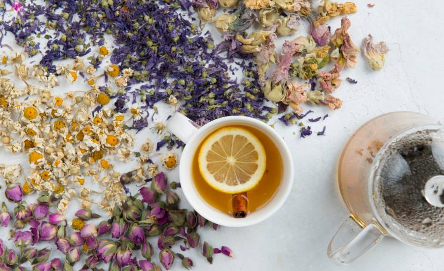 Les plantes favorisent-elles le sommeil ?