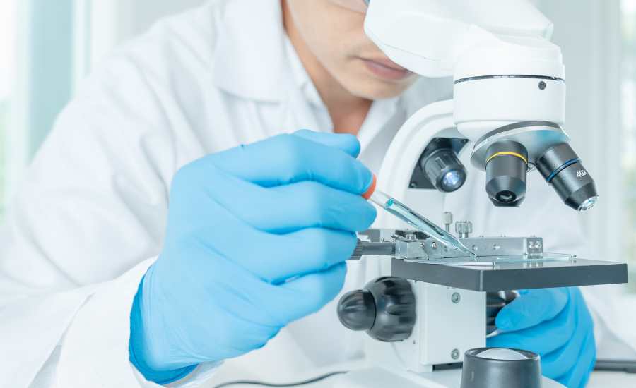 Les études cliniques montrent que le safran est aussi efficace que la Ritaline pour traiter le TDAH, offrant des résultats comparables et parfois améliorés.