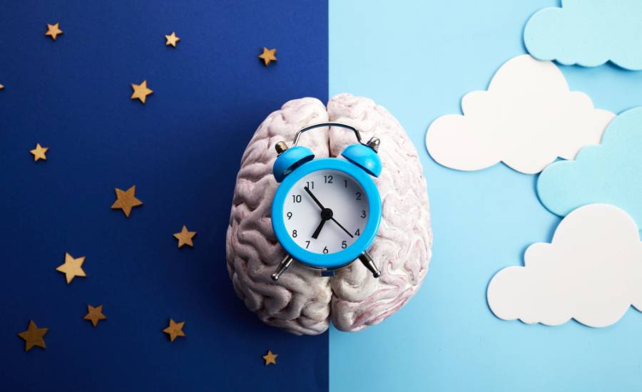 Melatonin, an essential hormone