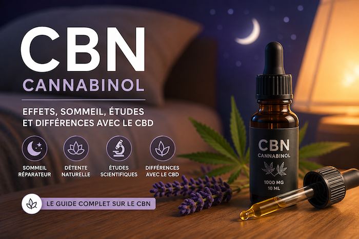 Flacon d’huile au CBN avec pipette, feuilles de chanvre et ambiance nocturne évoquant le sommeil