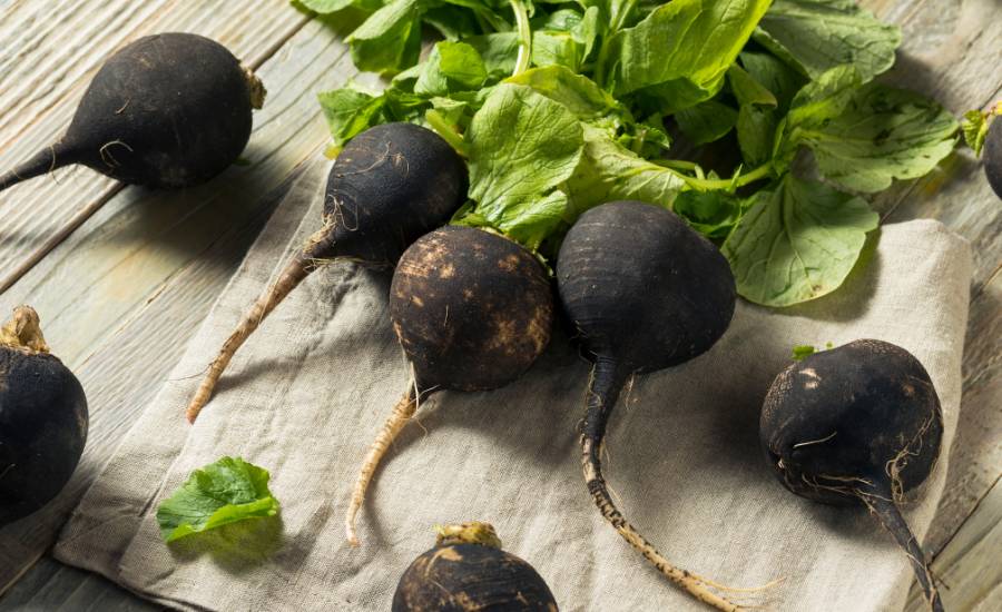 What foods help with digestion?