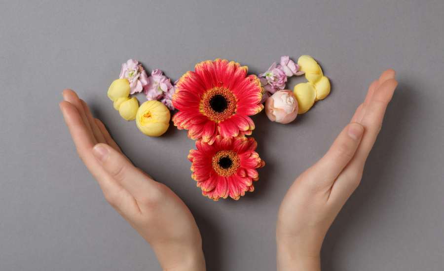 Two hands framing a composition of flowers forming a uterus, a symbol of female health and well-being