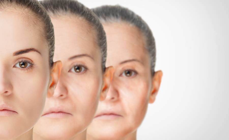 oxidative stress and cellular aging